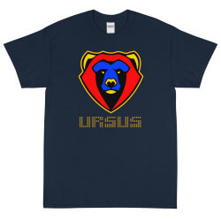 Camiseta Bear Color Stars